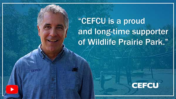 CEFCU is a proud and long-time supporter of Wildlife Prairie Park. Video